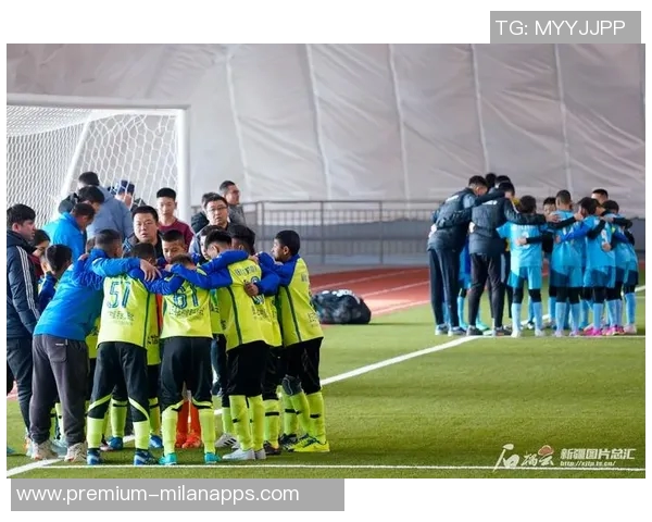 足球热情与参与度调查问卷探索球迷对足球的看法与体验